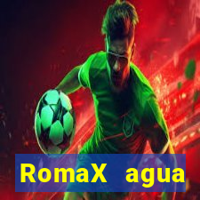 RomaX agua sanitaria fispq agua sanitaria romax